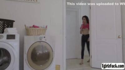 Busty Transsexual Ass Analed While Doing Laundry 10 Min With Ariel Demure - shemalez.com
